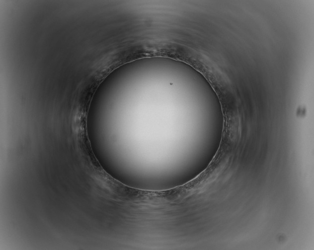 X0000103410770200809121304