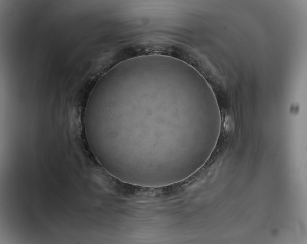 X0000103410771200809121304