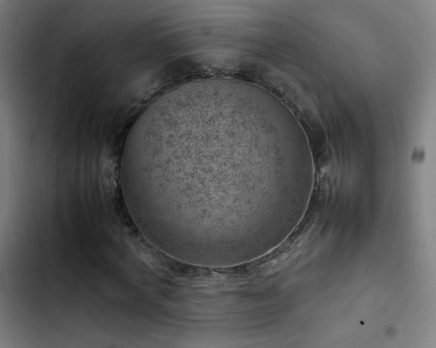 X0000103410772200809121304