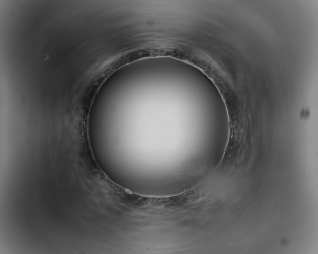 X0000103410773200809121304