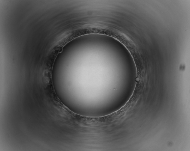 X0000103410774200809121304