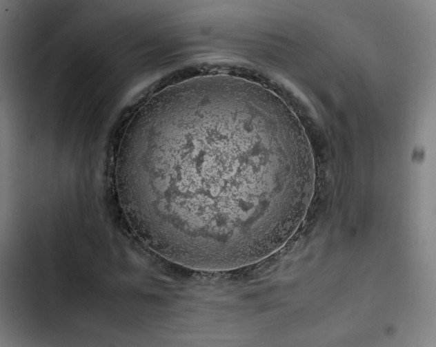 X0000103410775200809121304