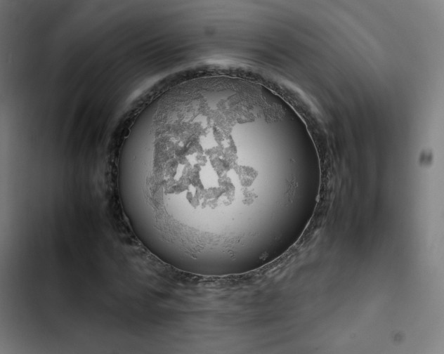 X0000103410776200809121304