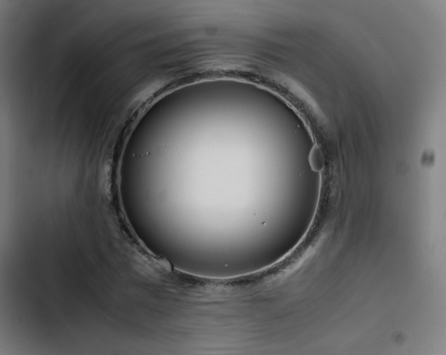 X0000103410777200809121304