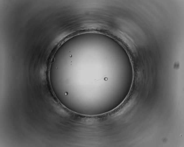 X0000103410778200809121304