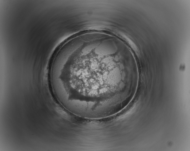 X0000103410779200809121304