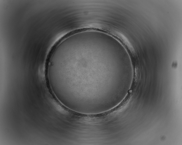 X0000103410780200809121304