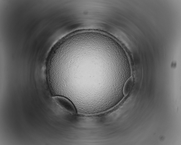 X0000103410781200809121304