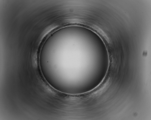 X0000103410782200809121304