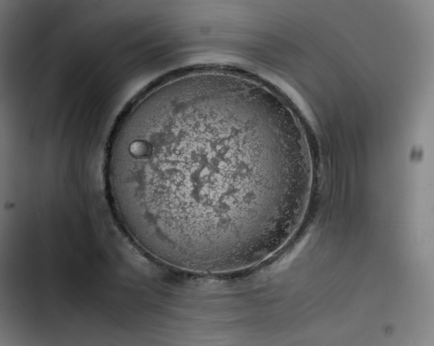 X0000103410783200809121304