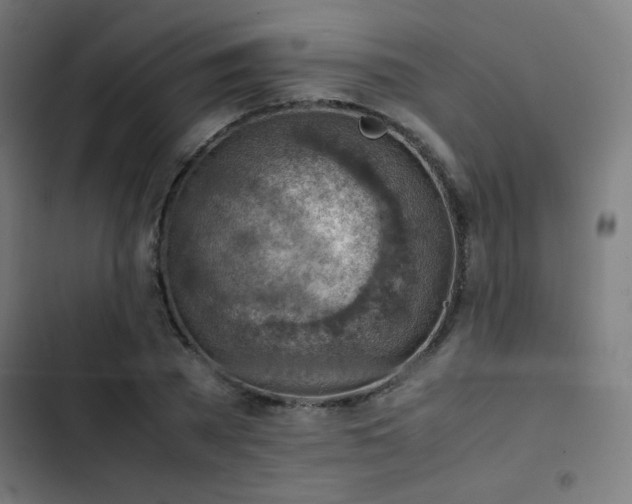 X0000103410785200809121304