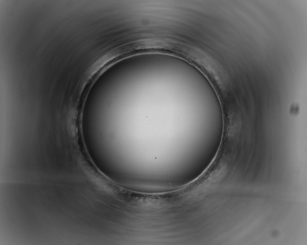 X0000103410786200809121304