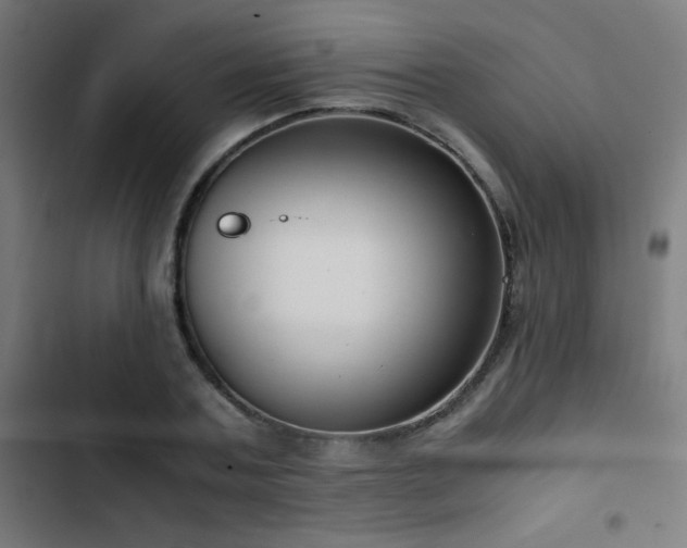 X0000103410787200809121304