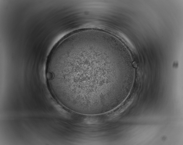 X0000103410788200809121304