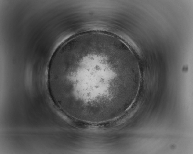 X0000103410790200809121304