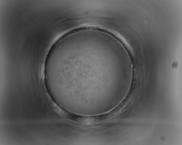 X0000103410791200809121304