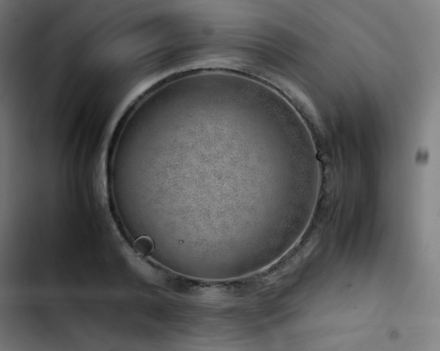 X0000103410792200809121304