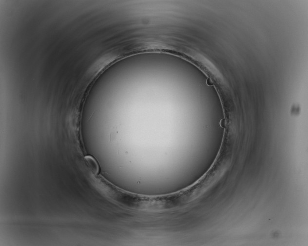 X0000103410793200809121304