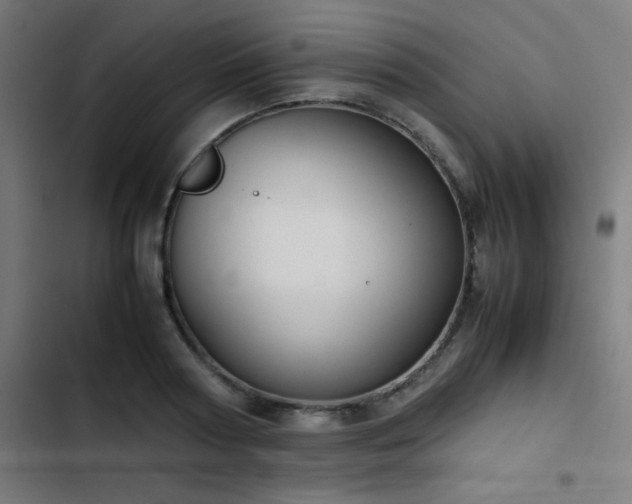 X0000103410794200809121304