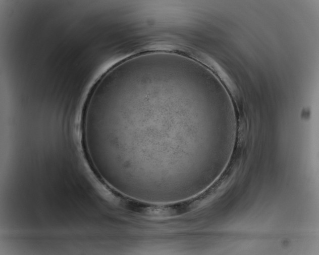 X0000103410795200809121304