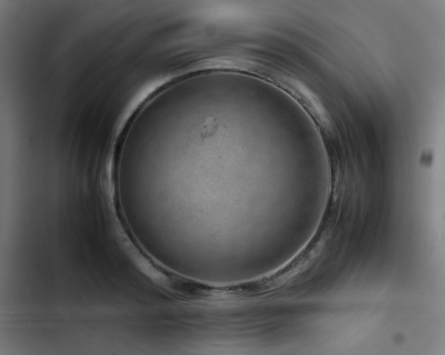 X0000103410796200809121304