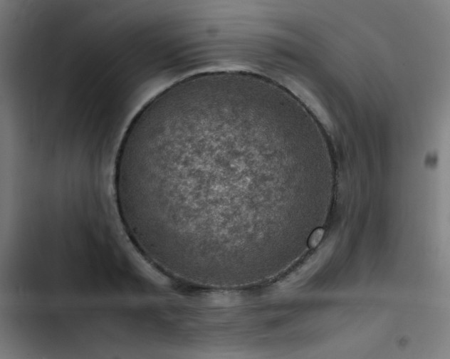 X0000103410797200809121304