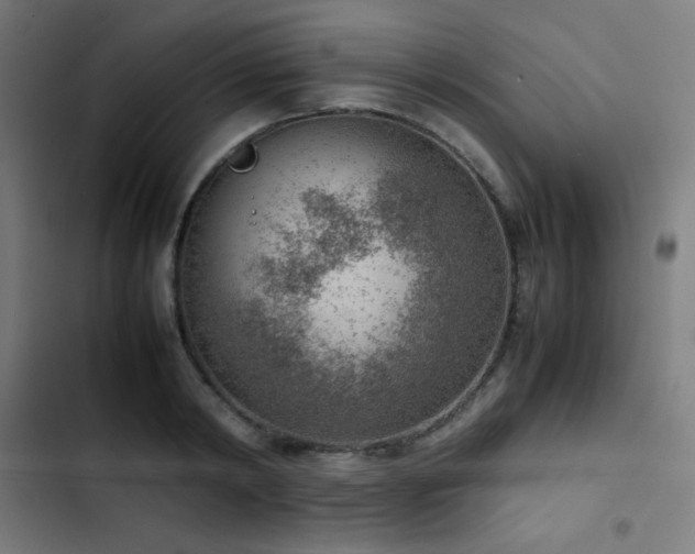 X0000103410798200809121304