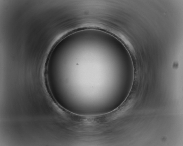 X0000103410799200809121304