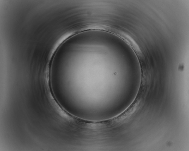 X0000103410804200809121304