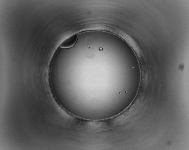 X0000103410805200809121304