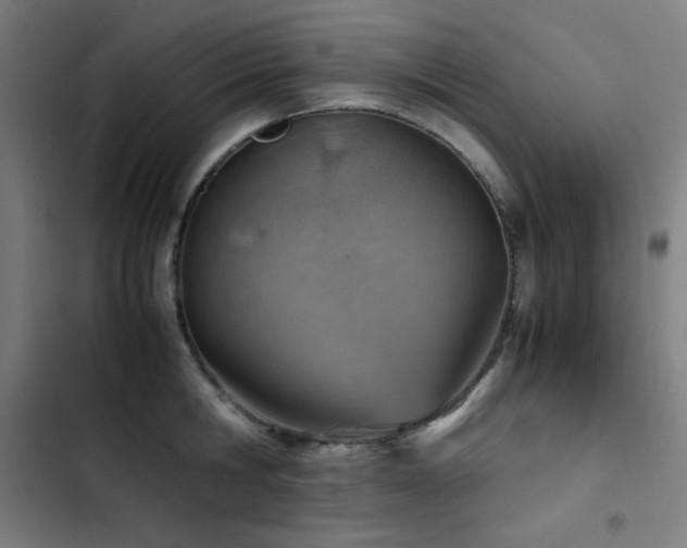 X0000103410806200809121304