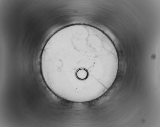 X0000103410807200809121304