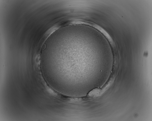 X0000103410809200809121304