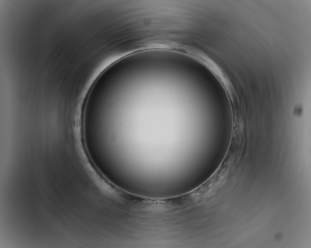 X0000103410811200809121304