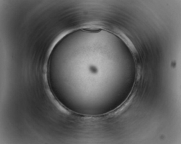 X0000103410812200809121304