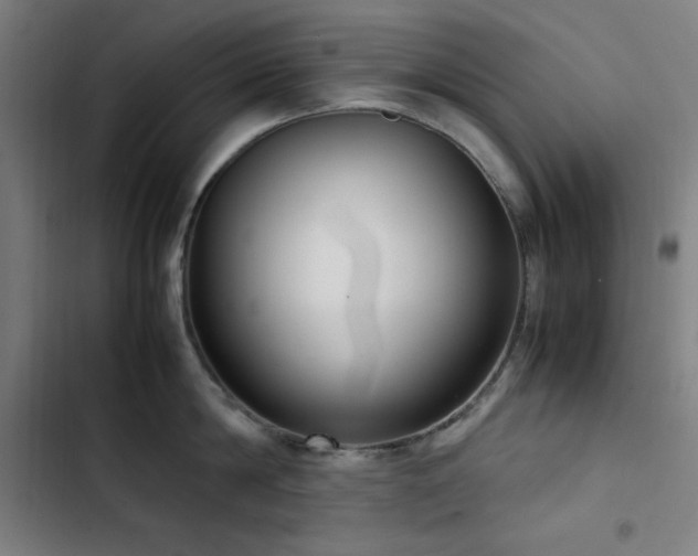 X0000103410814200809121304