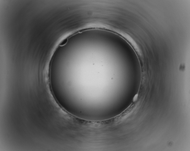 X0000103410815200809121304