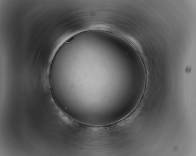 X0000103410816200809121304