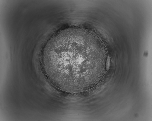 X0000103410817200809121303