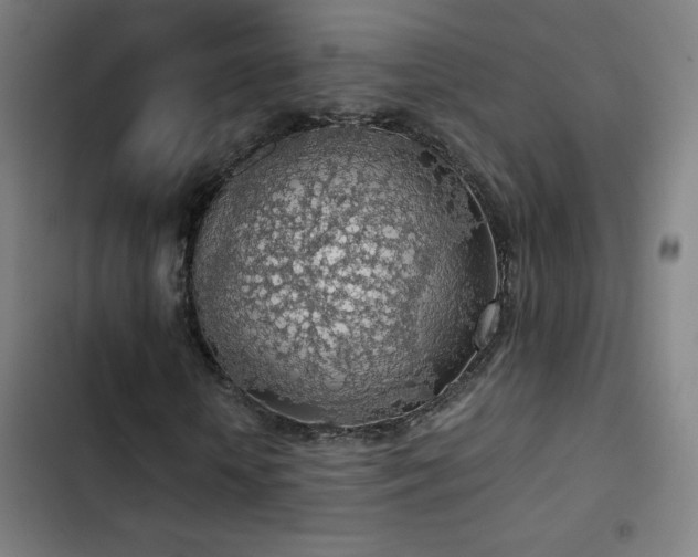 X0000103410818200809121303