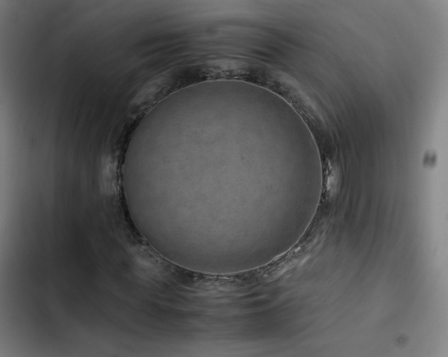 X0000103410819200809121303