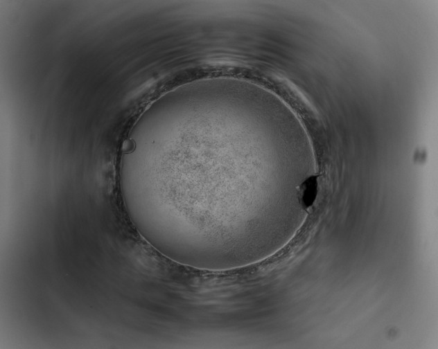 X0000103410821200809121303