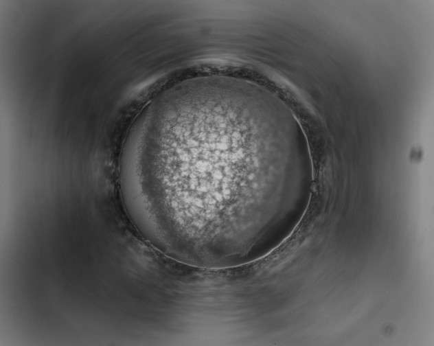 X0000103410822200809121303