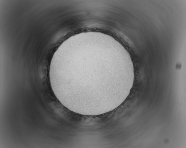 X0000103410824200809121303