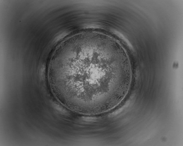 X0000103410825200809121303