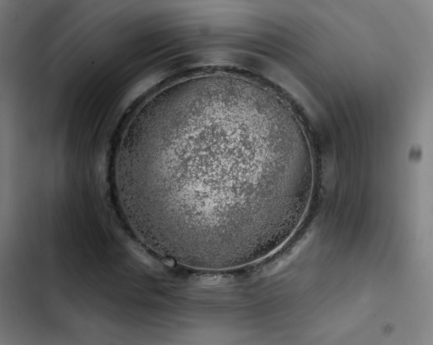 X0000103410826200809121303