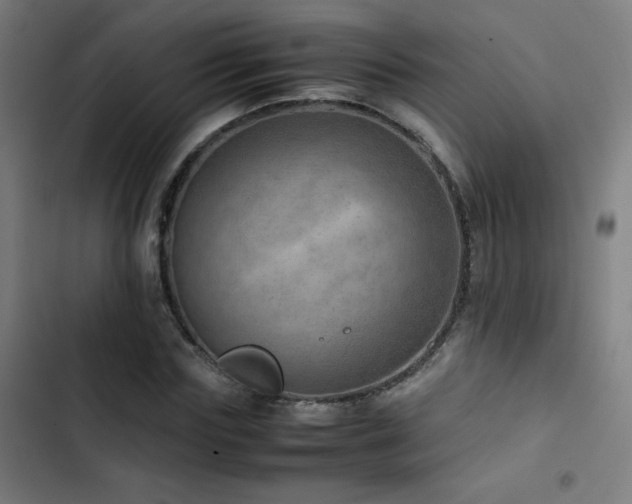 X0000103410827200809121303