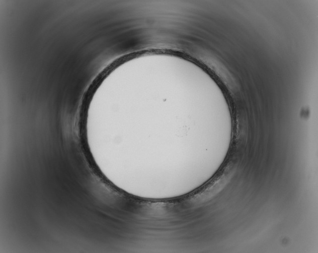 X0000103410828200809121303