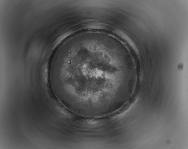 X0000103410829200809121303