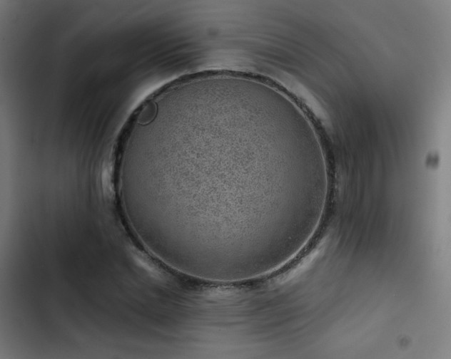 X0000103410830200809121303